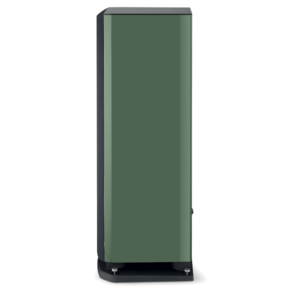 Тонколона Focal ARIA EVO X N°4 - зелен 4