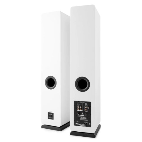 Argon Audio Fenris A55 Speakers - White - back