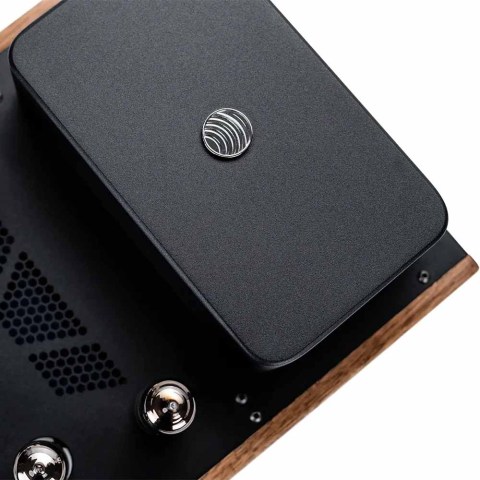 Feliks Audio Echo Vibe Amplifier - Above