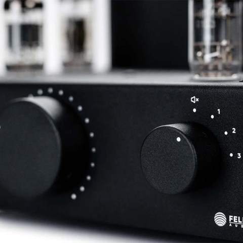 Feliks Audio Echo Vibe Amplifier -  Buttons
