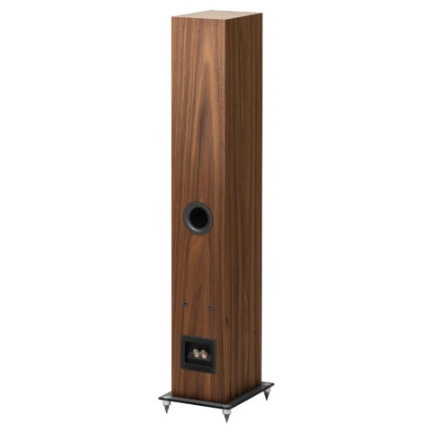 Pro-Ject Speaker Box 10 E Carbon Speakers - Walnut - back