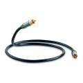 QED Performance Subwoofer Cable - 6m