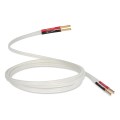 QED Silver Anniversary XT - 2m Cable