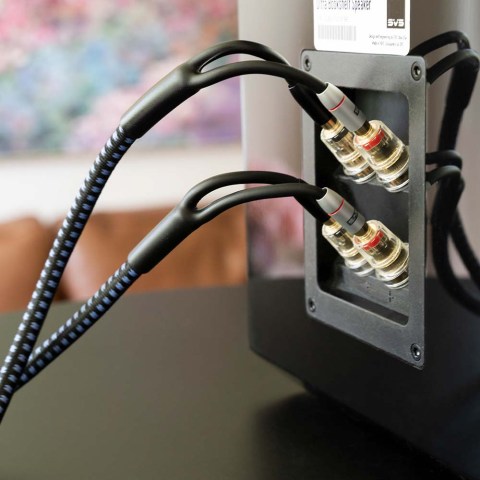 SVS SoundPath Ultra Bi-Wire Speaker Cable – Connected