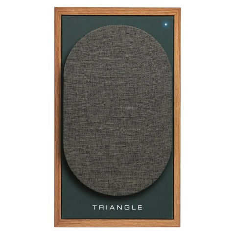 Triangle Borea BR02 CONNECT Speakers - Green - front