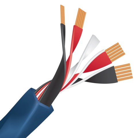 Wireworld Oasis 8 Cable - per 1m - inside